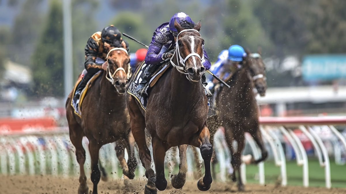 Comprendre les Courses Hippiques pour Débutants : Guide Complet