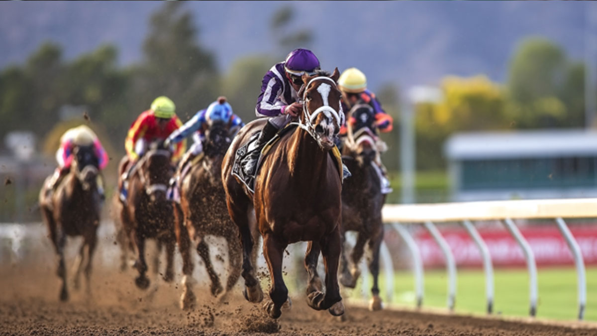 Les Meilleurs Jockeys Africains et Leur Impact sur les Courses Internationales
